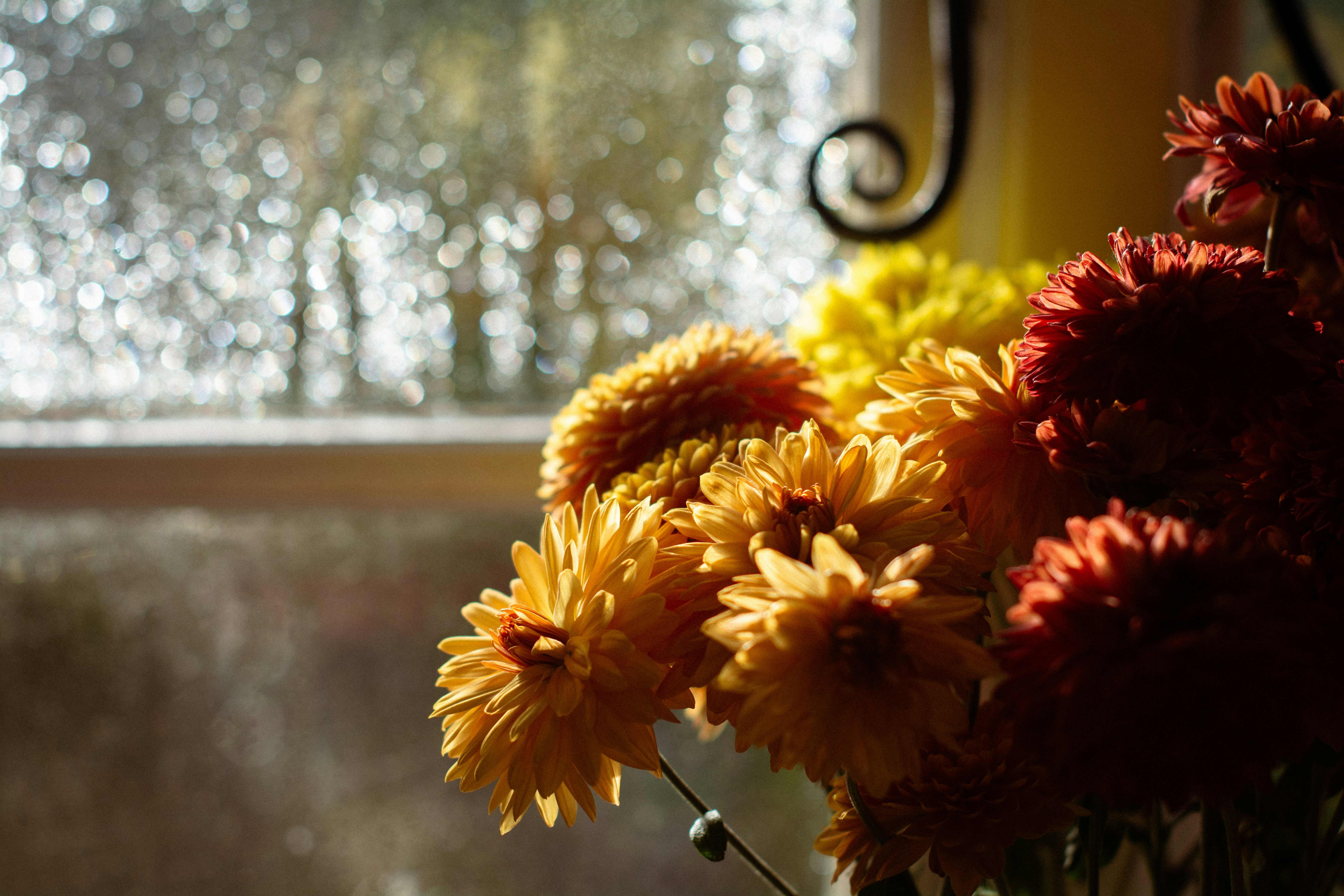 Saisonale Dekoration